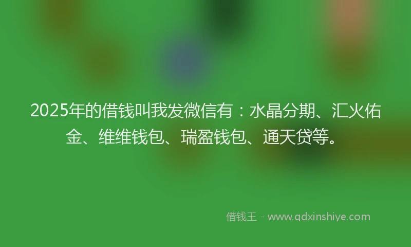 2025年的借钱叫我发微信有：水晶分期、汇火佑金、维维钱包、瑞盈钱包、通天贷等。