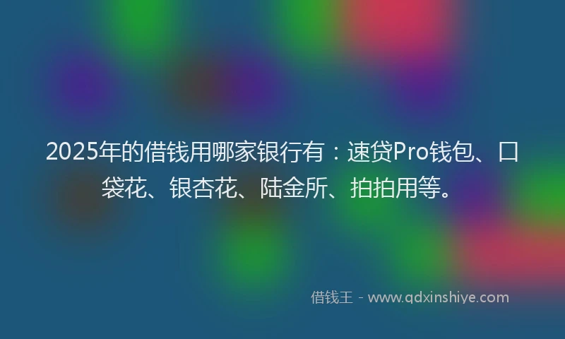 2025年的借钱用哪家银行有：速贷Pro钱包、口袋花、银杏花、陆金所、拍拍用等。