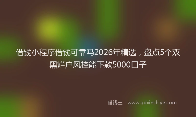 借钱小程序借钱可靠吗2026年精选,盘点5个双黑烂户风控能下款5000口子