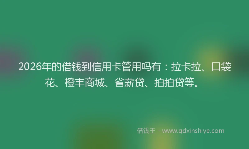 2026年的借钱到信用卡管用吗有：拉卡拉、口袋花、橙丰商城、省薪贷、拍拍贷等。