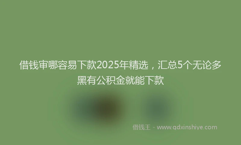 借钱审哪容易下款2025年精选，汇总5个无论多黑有公积金就能下款