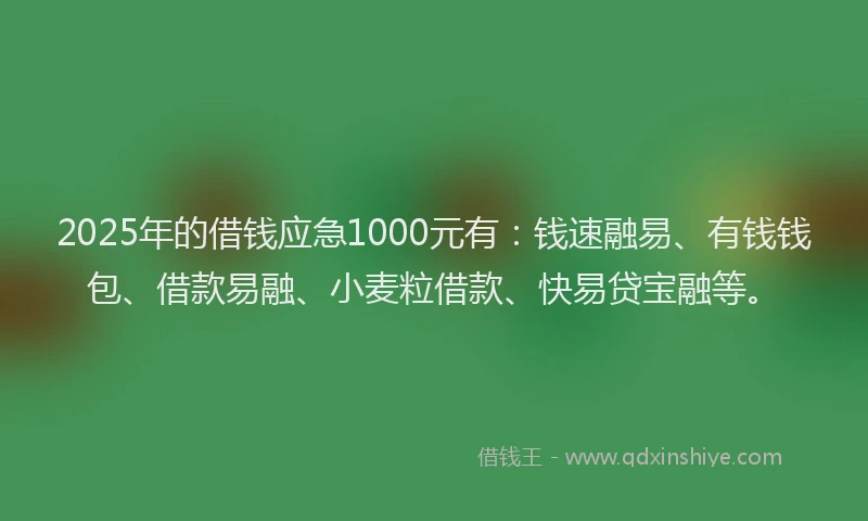 2025年的借钱应急1000元有：钱速融易、有钱钱包、借款易融、小麦粒借款、快易贷宝融等。