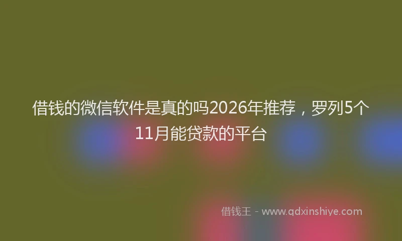 借钱的微信软件是真的吗2026年推荐,罗列5个11月能贷款的平台