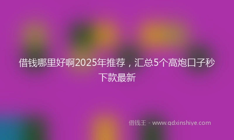 借钱哪里好啊2025年推荐,汇总5个高炮口子秒下款最新