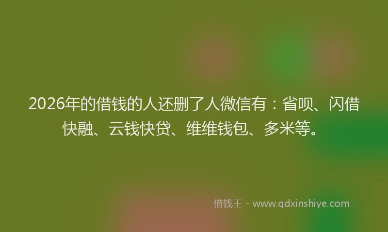 2026年的借钱的人还删了人微信有：省呗、闪借快融、云钱快贷、维维钱包、多米等。