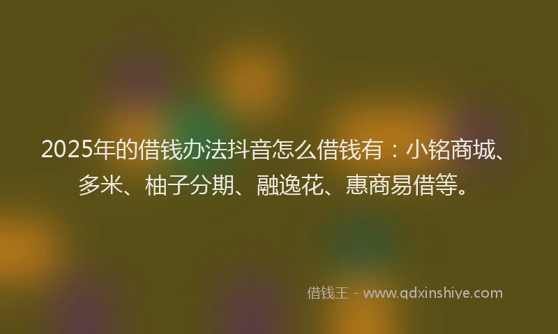 2025年的借钱办法抖音怎么借钱有：小铭商城、多米、柚子分期、融逸花、惠商易借等。