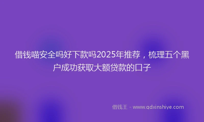 借钱喵安全吗好下款吗2025年推荐，梳理五个黑户成功获取大额贷款的口子