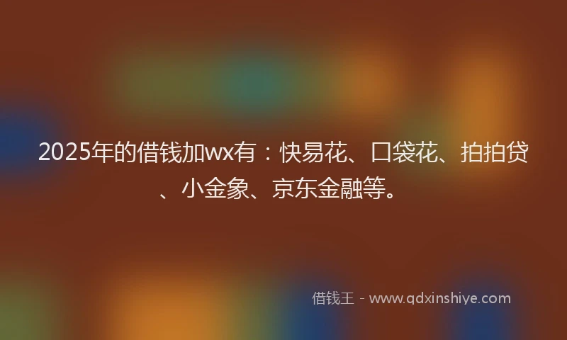 2025年的借钱加wx有：快易花、口袋花、拍拍贷、小金象、京东金融等。