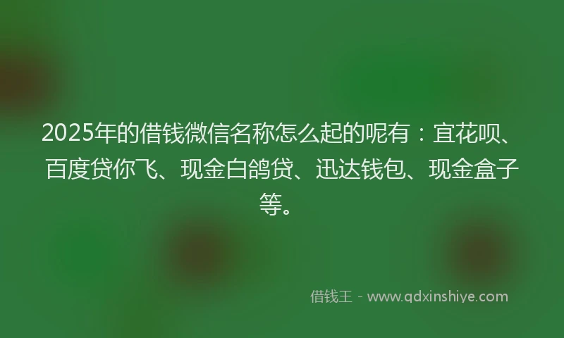 2025年的借钱微信名称怎么起的呢有：宜花呗、百度贷你飞、现金白鸽贷、迅达钱包、现金盒子等。
