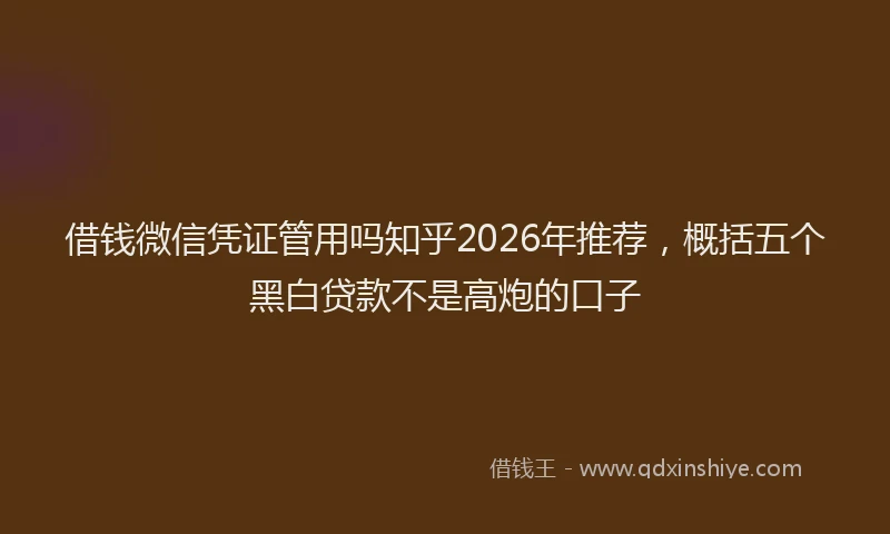 借钱微信凭证管用吗知乎2026年推荐，概括五个黑白贷款不是高炮的口子