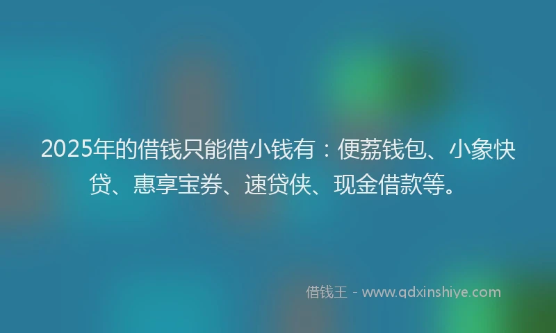 2025年的借钱只能借小钱有:便荔钱包、小象快贷、惠享宝券、速贷侠、现金借款等。