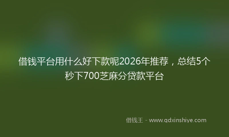 借钱平台用什么好下款呢2026年推荐，总结5个秒下700芝麻分贷款平台