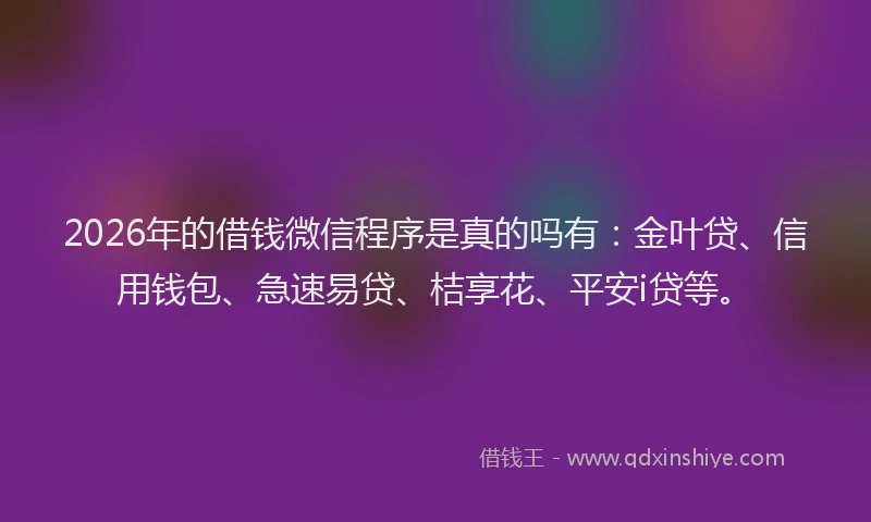 2026年的借钱微信程序是真的吗有:金叶贷、信用钱包、急速易贷、桔享花、平安i贷等。