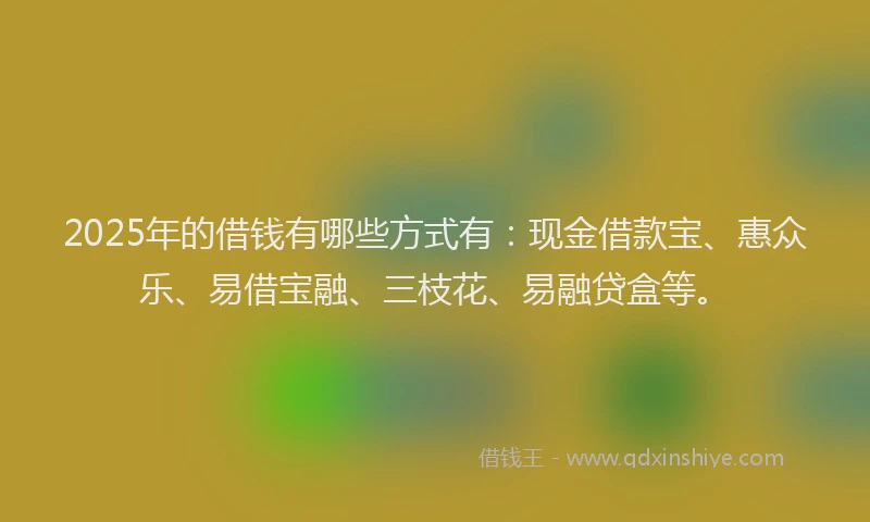 2025年的借钱有哪些方式有：现金借款宝、惠众乐、易借宝融、三枝花、易融贷盒等。