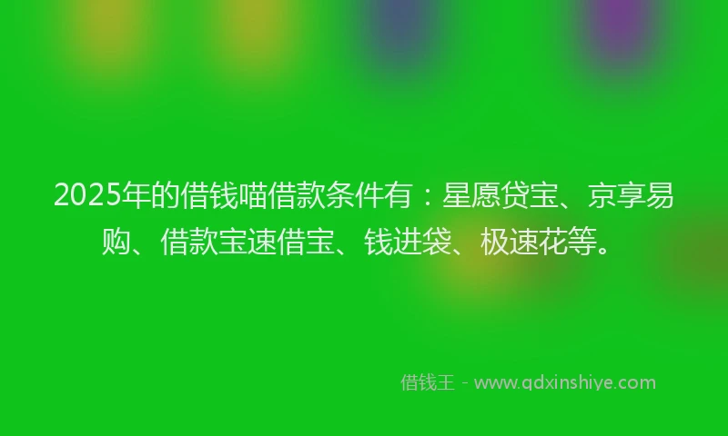 2025年的借钱喵借款条件有：星愿贷宝、京享易购、借款宝速借宝、钱进袋、极速花等。