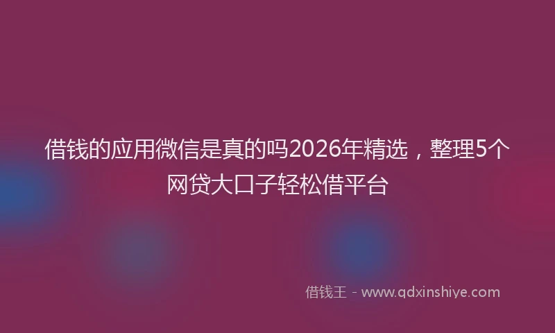 借钱的应用微信是真的吗2026年精选，整理5个网贷大口子轻松借平台