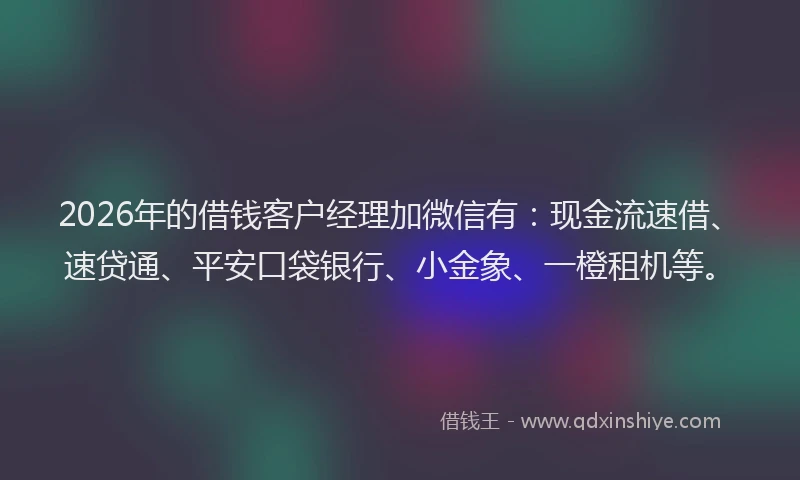 2026年的借钱客户经理加微信有:现金流速借、速贷通、平安口袋银行、小金象、一橙租机等。