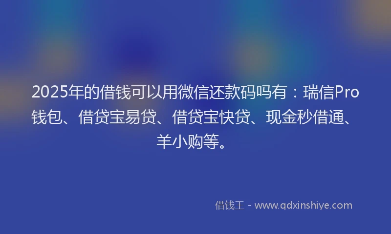 2025年的借钱可以用微信还款码吗有：瑞信Pro钱包、借贷宝易贷、借贷宝快贷、现金秒借通、羊小购等。