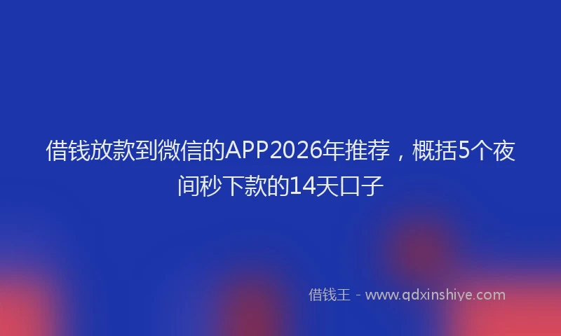 借钱放款到微信的APP2026年推荐，概括5个夜间秒下款的14天口子