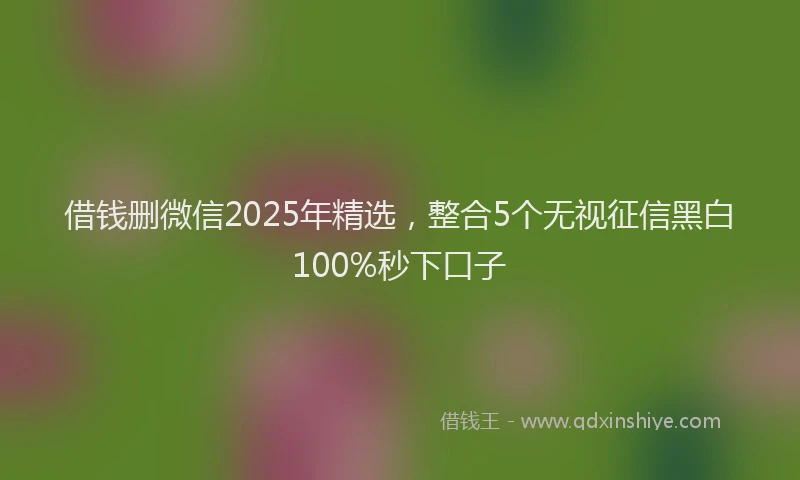 借钱删微信2025年精选，整合5个无视征信黑白100%秒下口子