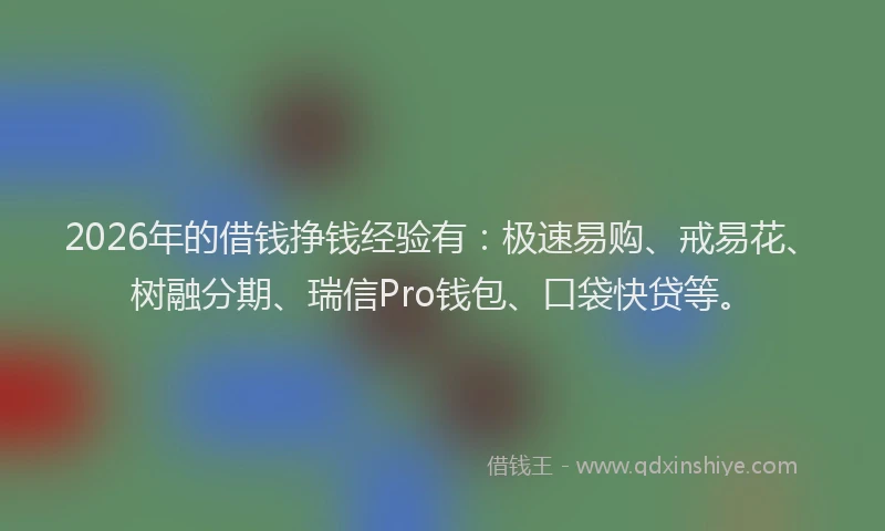 2026年的借钱挣钱经验有:极速易购、戒易花、树融分期、瑞信Pro钱包、口袋快贷等。
