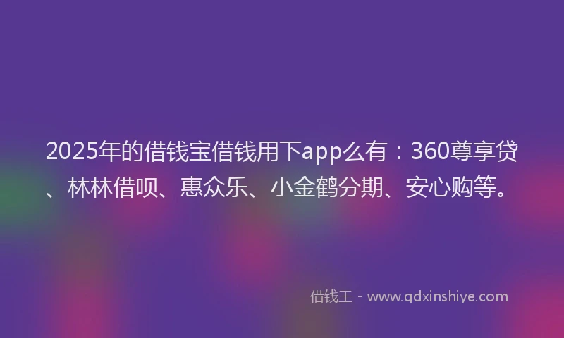 2025年的借钱宝借钱用下app么有：360尊享贷、林林借呗、惠众乐、小金鹤分期、安心购等。