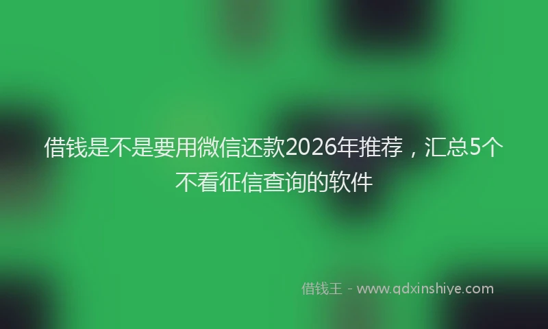 借钱是不是要用微信还款2026年推荐，汇总5个不看征信查询的软件