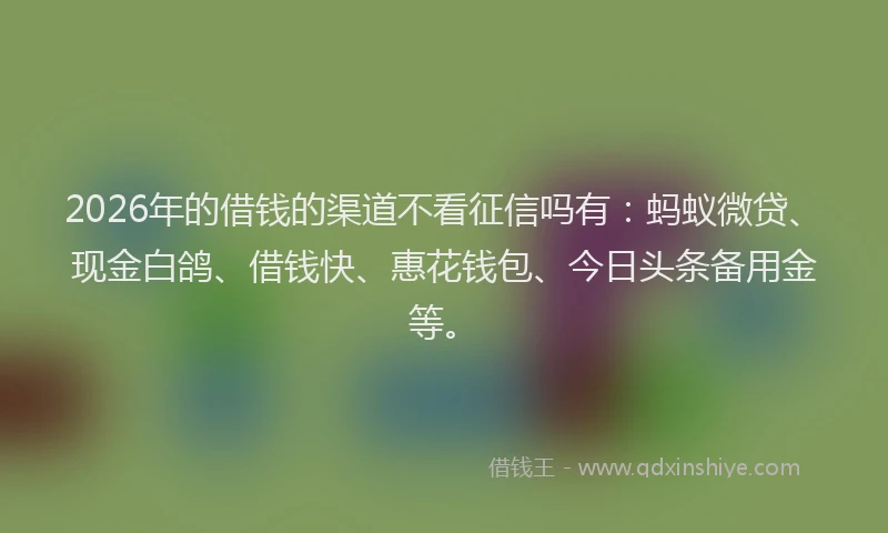 2026年的借钱的渠道不看征信吗有：蚂蚁微贷、现金白鸽、借钱快、惠花钱包、今日头条备用金等。
