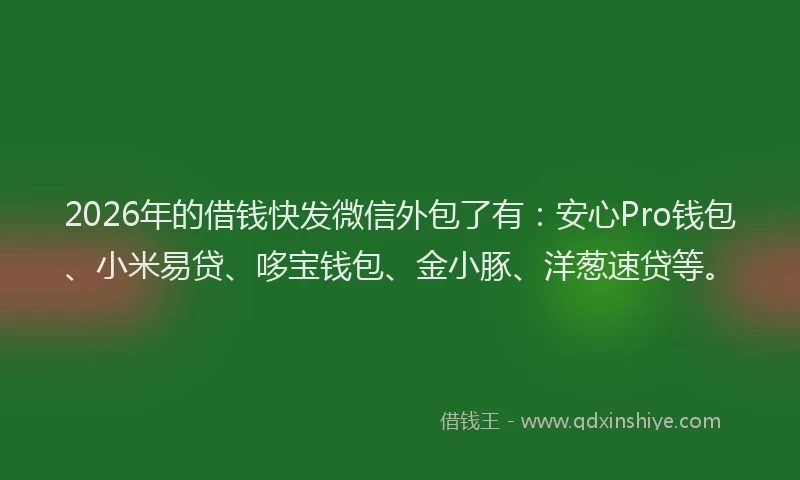 2026年的借钱快发微信外包了有：安心Pro钱包、小米易贷、哆宝钱包、金小豚、洋葱速贷等。