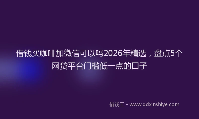 借钱买咖啡加微信可以吗2026年精选，盘点5个网贷平台门槛低一点的口子