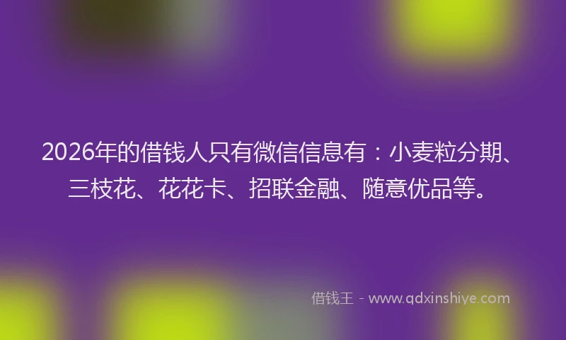 2026年的借钱人只有微信信息有:小麦粒分期、三枝花、花花卡、招联金融、随意优品等。