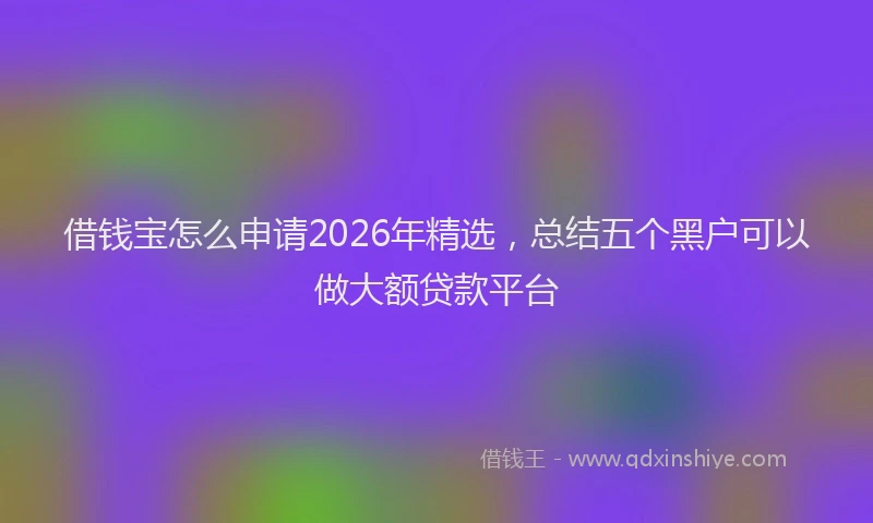 借钱宝怎么申请2026年精选，总结五个黑户可以做大额贷款平台