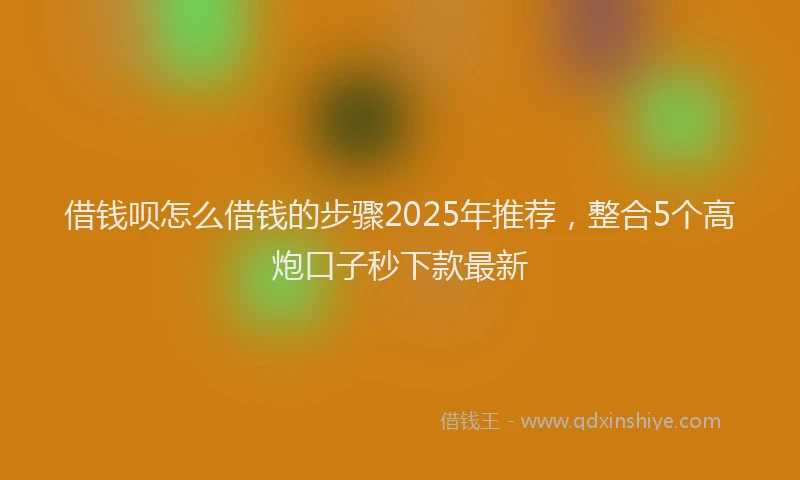 借钱呗怎么借钱的步骤2025年推荐，整合5个高炮口子秒下款最新
