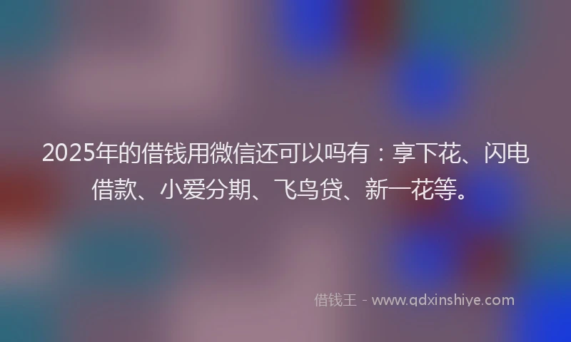 2025年的借钱用微信还可以吗有：享下花、闪电借款、小爱分期、飞鸟贷、新一花等。