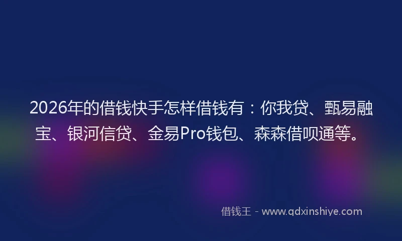 2026年的借钱快手怎样借钱有：你我贷、甄易融宝、银河信贷、金易Pro钱包、森森借呗通等。