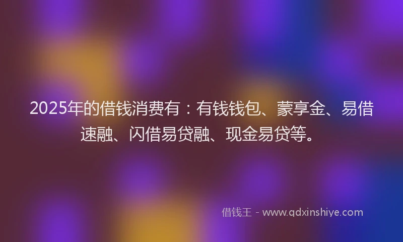 2025年的借钱消费有：有钱钱包、蒙享金、易借速融、闪借易贷融、现金易贷等。