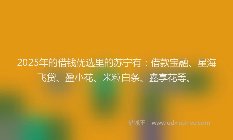 2025年的借钱优选里的苏宁有：借款宝融、星海飞贷、盈小花、米粒白条、鑫享花等。