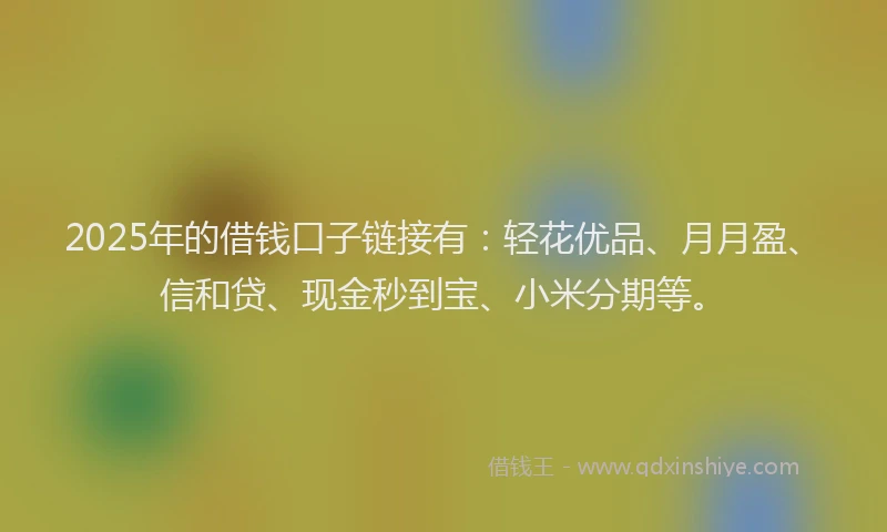 2025年的借钱口子链接有：轻花优品、月月盈、信和贷、现金秒到宝、小米分期等。