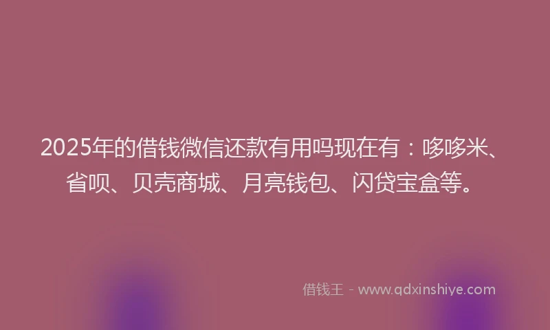 2025年的借钱微信还款有用吗现在有：哆哆米、省呗、贝壳商城、月亮钱包、闪贷宝盒等。