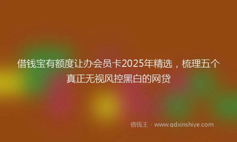借钱宝有额度让办会员卡2025年精选,梳理五个真正无视风控黑白的网贷