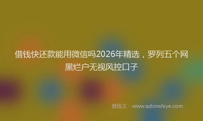借钱快还款能用微信吗2026年精选,罗列五个网黑烂户无视风控口子