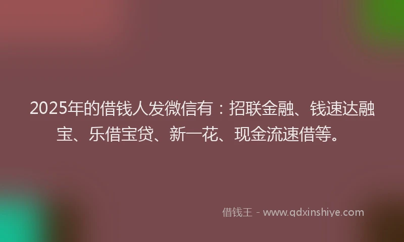 2025年的借钱人发微信有:招联金融、钱速达融宝、乐借宝贷、新一花、现金流速借等。