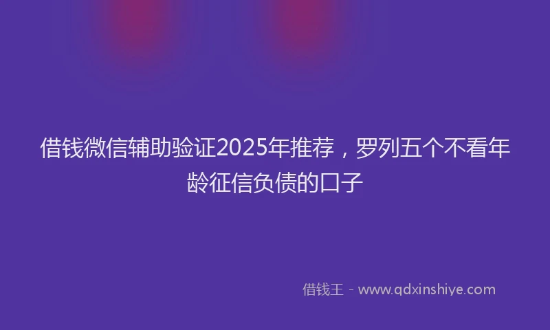 借钱微信辅助验证2025年推荐，罗列五个不看年龄征信负债的口子