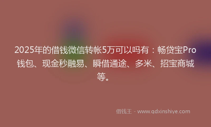 2025年的借钱微信转帐5万可以吗有:畅贷宝Pro钱包、现金秒融易、瞬借通途、多米、招宝商城等。