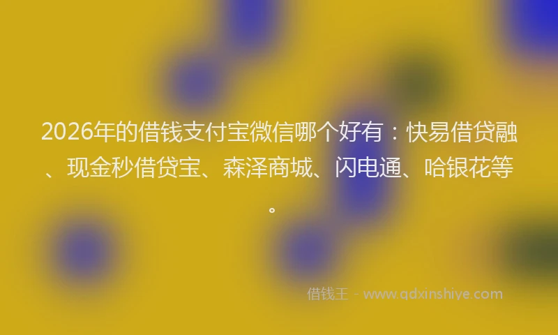 2026年的借钱支付宝微信哪个好有:快易借贷融、现金秒借贷宝、森泽商城、闪电通、哈银花等。