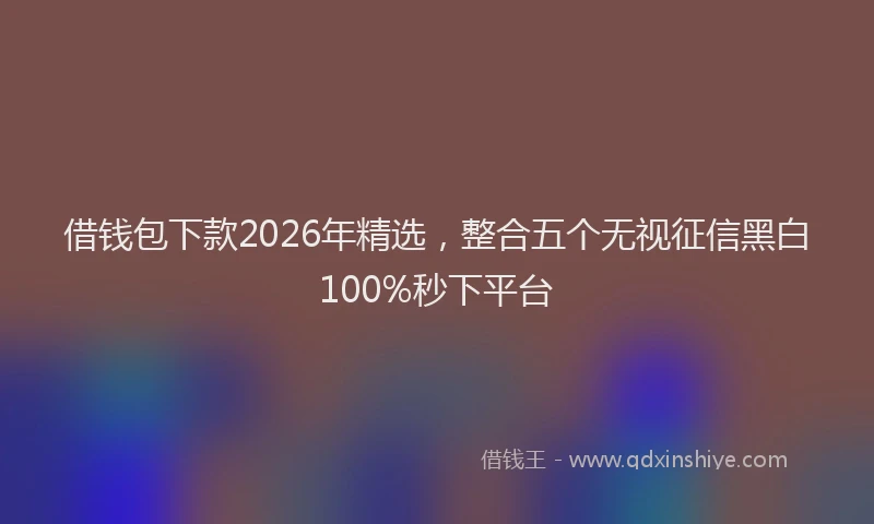 借钱包下款2026年精选，整合五个无视征信黑白100%秒下平台