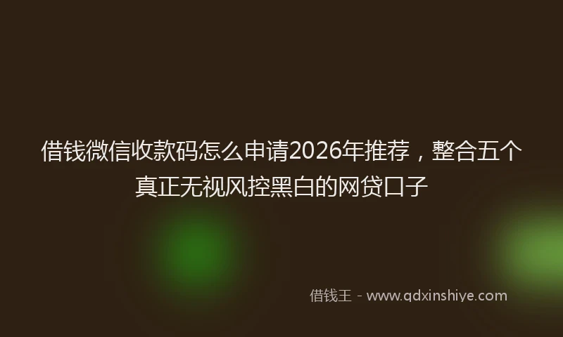 借钱微信收款码怎么申请2026年推荐，整合五个真正无视风控黑白的网贷口子