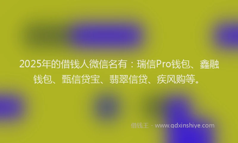 2025年的借钱人微信名有：瑞信Pro钱包、鑫融钱包、甄信贷宝、翡翠信贷、疾风购等。