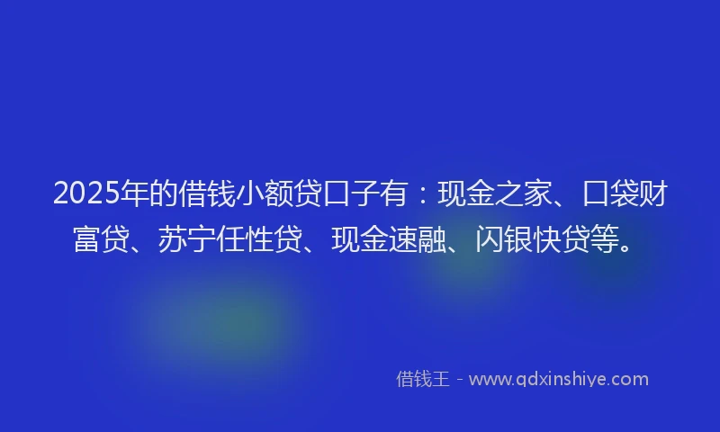 2025年的借钱小额贷口子有:现金之家、口袋财富贷、苏宁任性贷、现金速融、闪银快贷等。