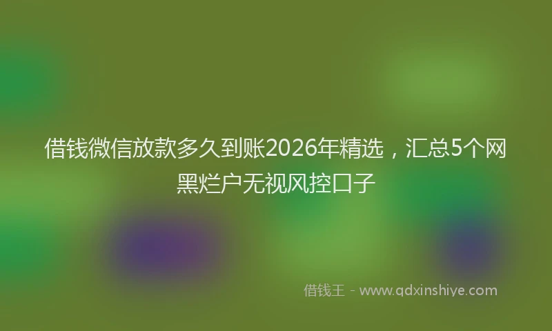 借钱微信放款多久到账2026年精选，汇总5个网黑烂户无视风控口子